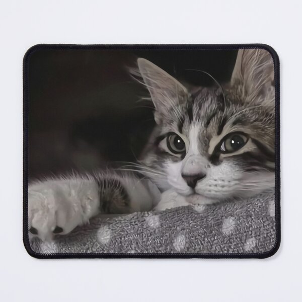 Item preview, Kitty Animal Nice Poster      designed and sold by Joseph M  Oliver.
