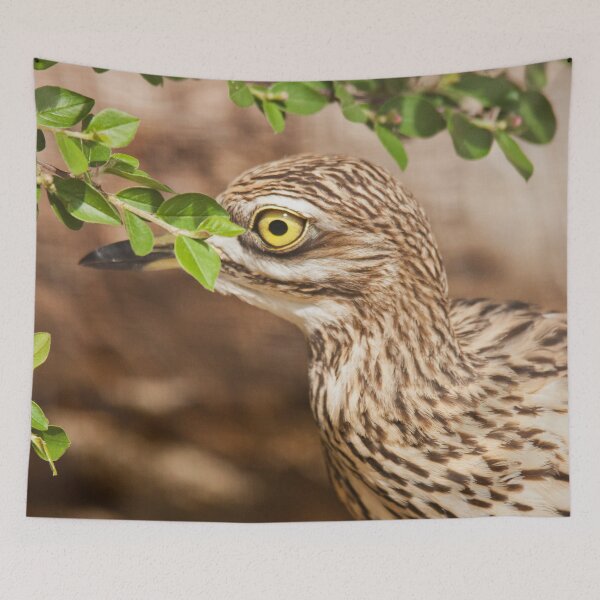 Item preview, Taking a closer look designed and sold by Dominika Aniola.