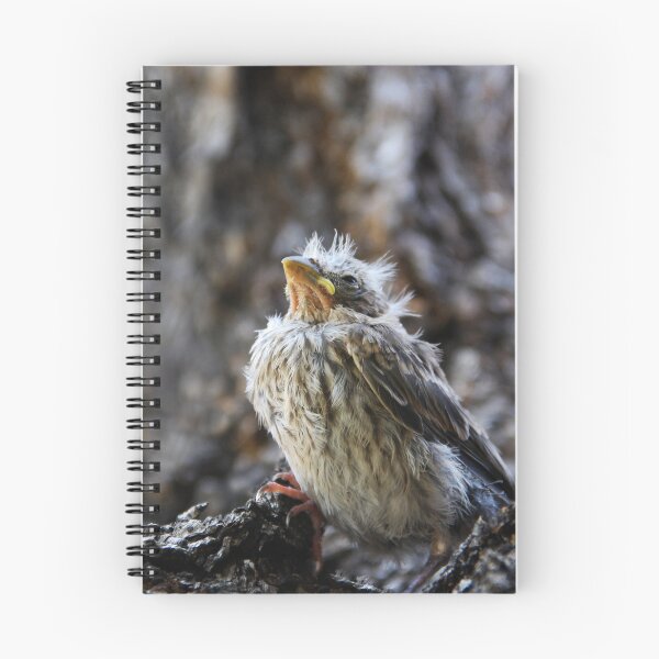 Item preview, The Fledgling designed and sold by heatherfriedman.