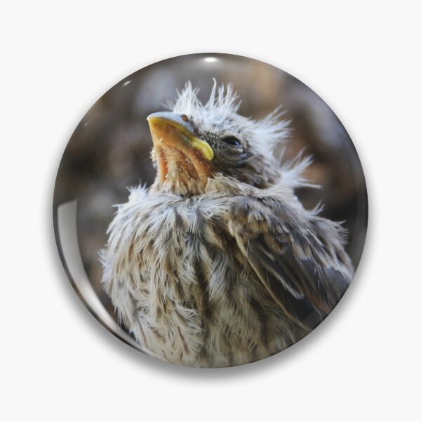 Item preview, The Fledgling designed and sold by heatherfriedman.