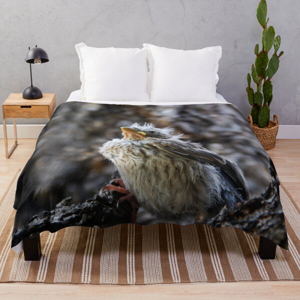 Item preview, The Fledgling designed and sold by heatherfriedman.