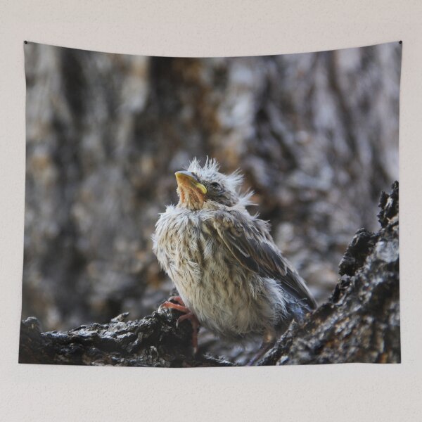 Item preview, The Fledgling designed and sold by heatherfriedman.