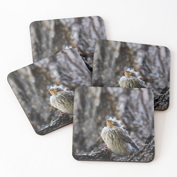 Item preview, The Fledgling designed and sold by heatherfriedman.