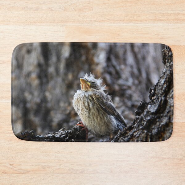 Item preview, The Fledgling designed and sold by heatherfriedman.