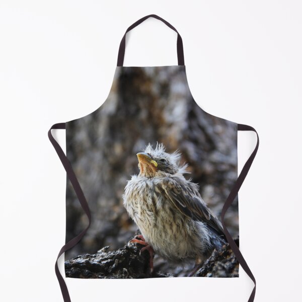 Item preview, The Fledgling designed and sold by heatherfriedman.