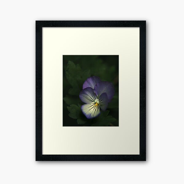 Posy Framed Art Print