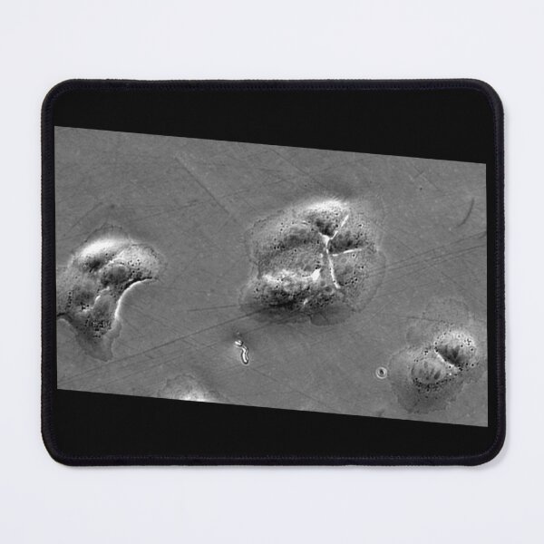 Item preview, When fashion meets technology: art and science micrographs of epithelial cells. Gray Rectangle designed and sold by ArtByScience.