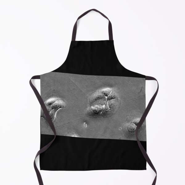 Item preview, When fashion meets technology: art and science micrographs of epithelial cells. Gray Rectangle designed and sold by ArtByScience.