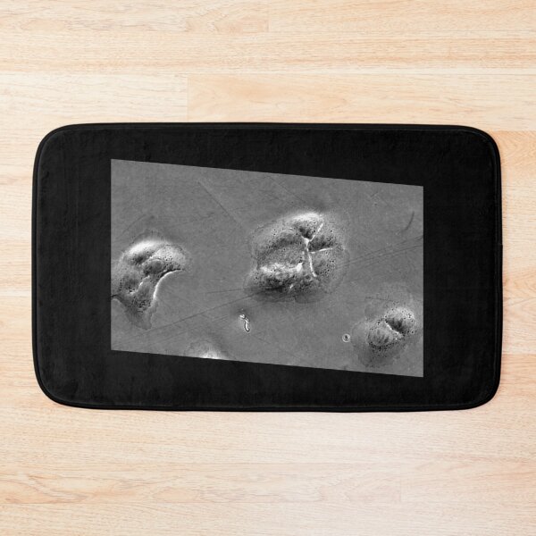 Item preview, When fashion meets technology: art and science micrographs of epithelial cells. Gray Rectangle designed and sold by ArtByScience.