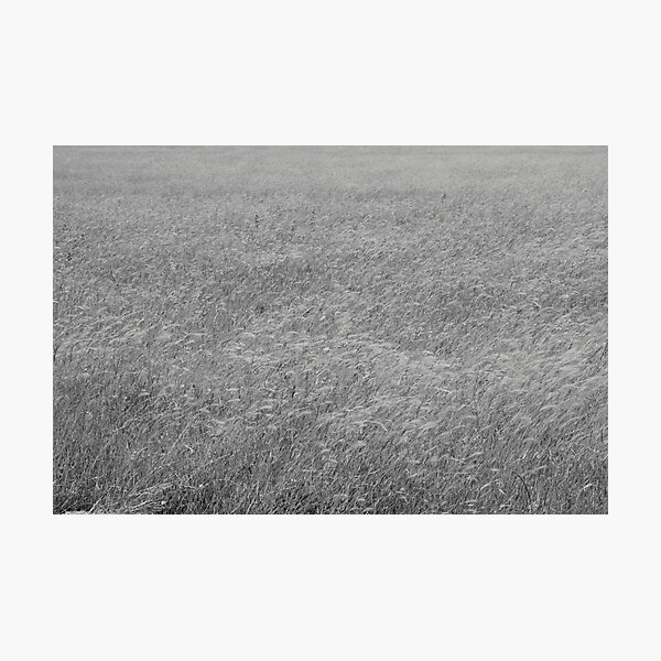 Artikelvorschau, Grass Field entworfen und verkauft von Ian Tilly.