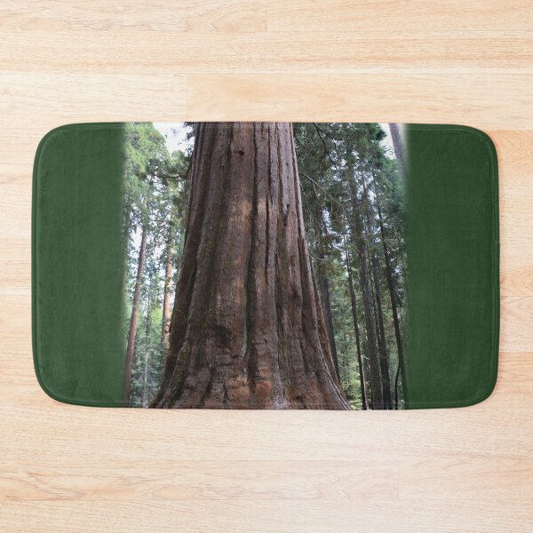 Item preview, California giant sequoia redwood tree. designed and sold by naturematters.