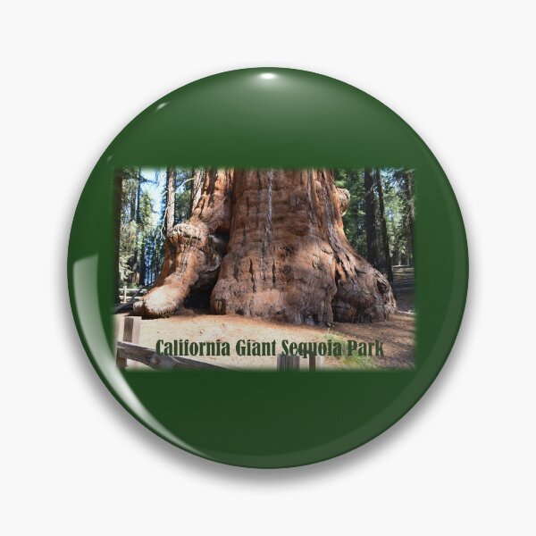 Artikelvorschau, Riesiger Mammutbaum-Mammutbaum Kaliforniens. Sequoia-Nationalpark. entworfen und verkauft von naturematters.