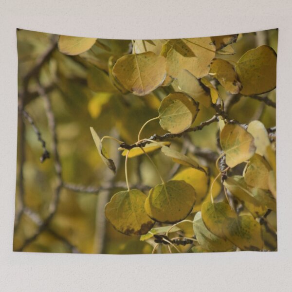 Item preview, Aspen Leaves  designed and sold by Periscope9.