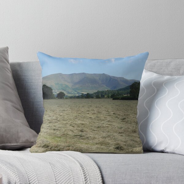 Artikelvorschau, Hay Field und Blencathra entworfen und verkauft von pluspixels.