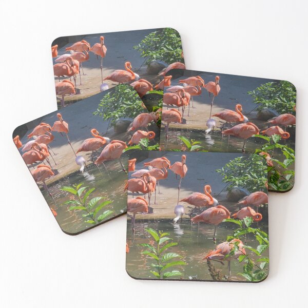 Artikelvorschau, Flamingos entworfen und verkauft von Jungandrestless.