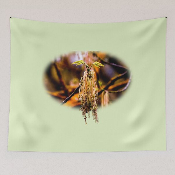 Item preview, Bursting open designed and sold by indiafrankk.