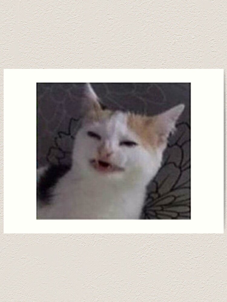 "Lemon cat meme" Art Print for Sale by pastelmeme Redbubble