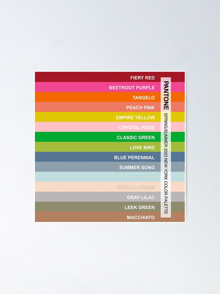 Color Theory - Summer 2023 Coloring Kit — Vanilla Arts Co.