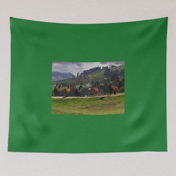 Item preview, Line-Dancing Llamas At Ingapirca designed and sold by alabca.