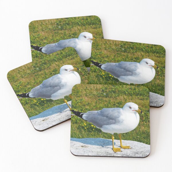 Item preview, Gull Standing On A Rock designed and sold by BackyardBirder.