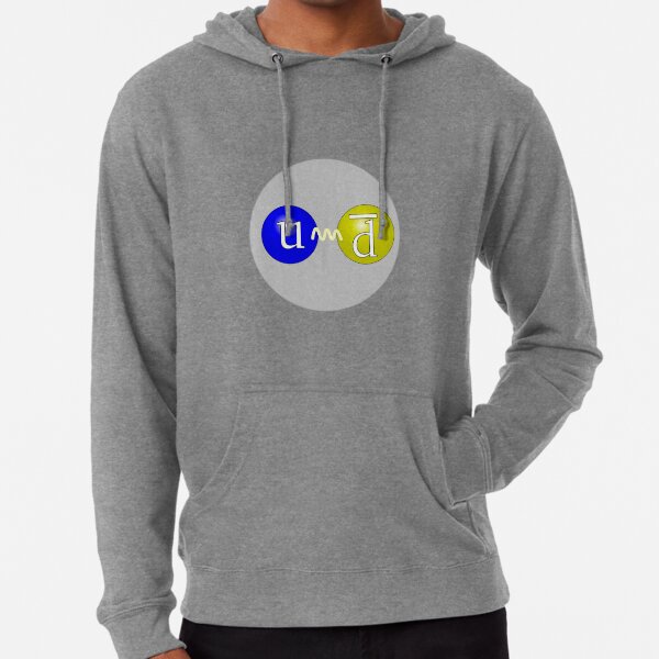 The quark structure of the positive pion (π+) #quark #structure #positive #pion #π Lightweight Hoodie