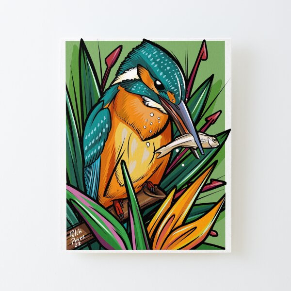 Kingfisher Canvas Mounted Print