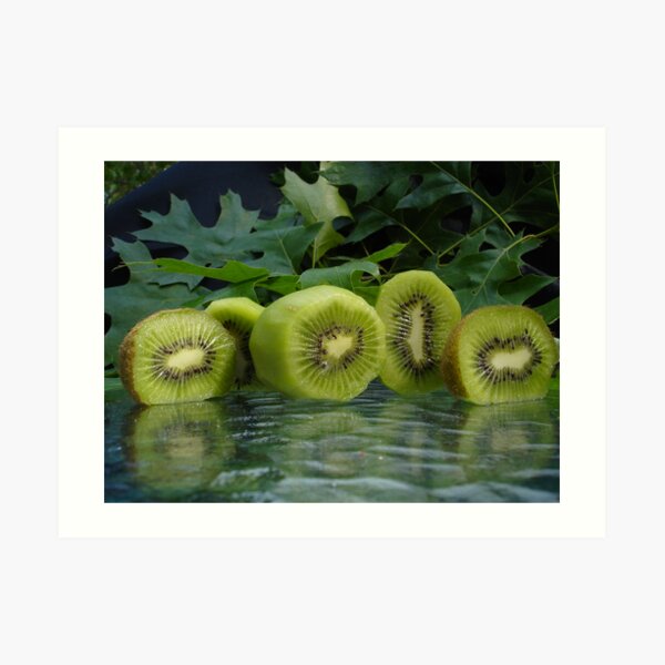 Kiwi Bird Fruit Art Print By Giuseppe Jones Redbubble