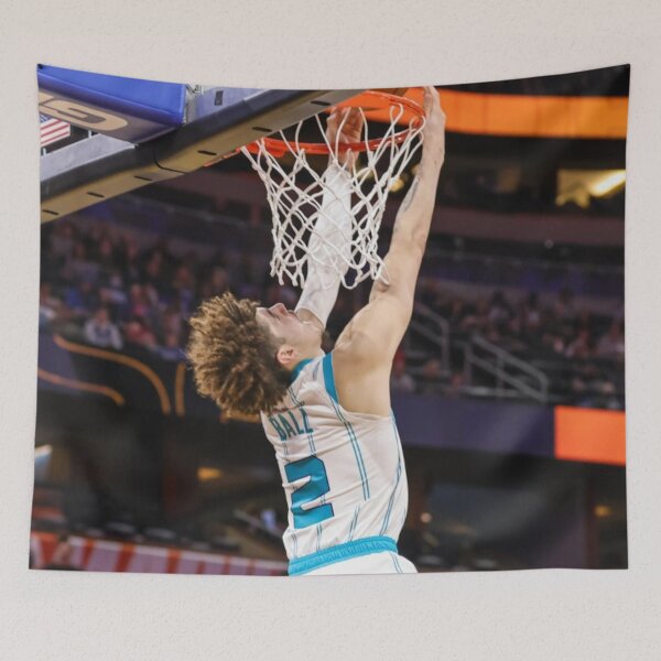 Artikelvorschau, LaMelo-Ball entworfen und verkauft von JacindaGaby.