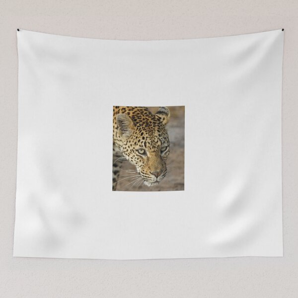 Item preview, Leopard adjacent to our vehicle designed and sold by Anthony Goldman.