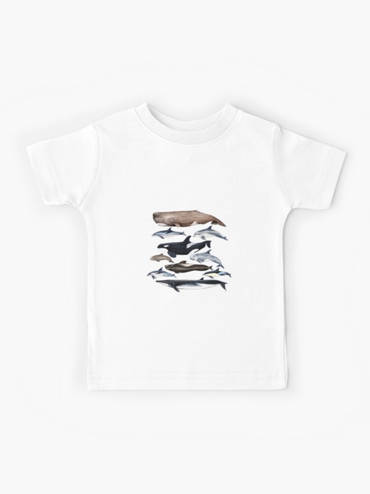 Whales, dolphins, orca and sperm whale