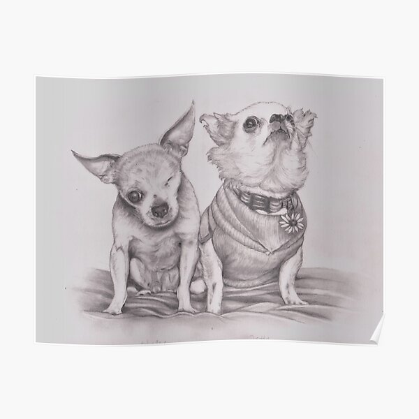 Harley and Teddy, Puppy Mill Survivors Poster