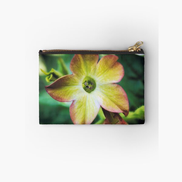 Item preview, Nicotiana Orange Bicolour designed and sold by yeamanphoto.