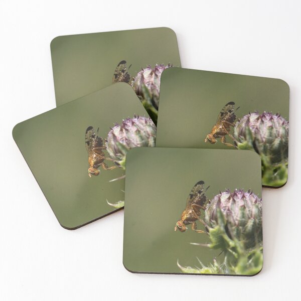 Item preview, The Cutest Insect I've ever seen designed and sold by cuprum.