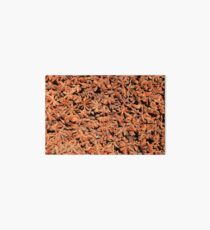 Anise Art Board
