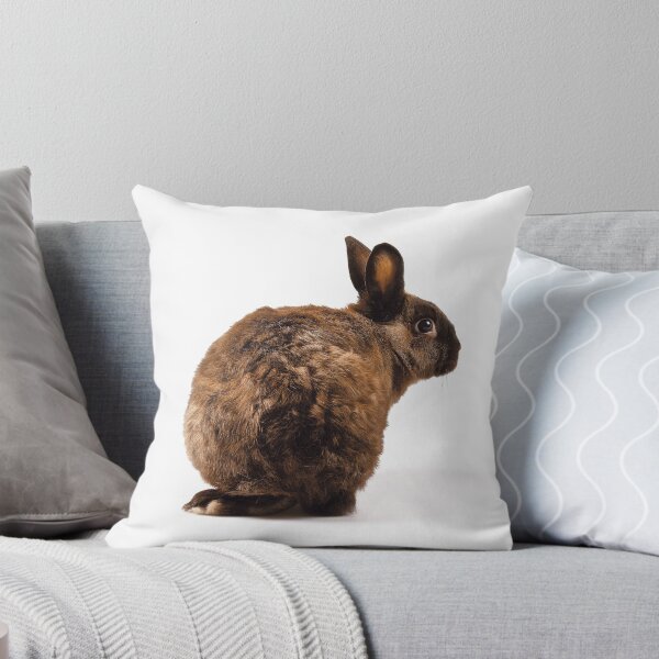 Item preview, Rabbit looking over its shoulder designed and sold by yeamanphoto.
