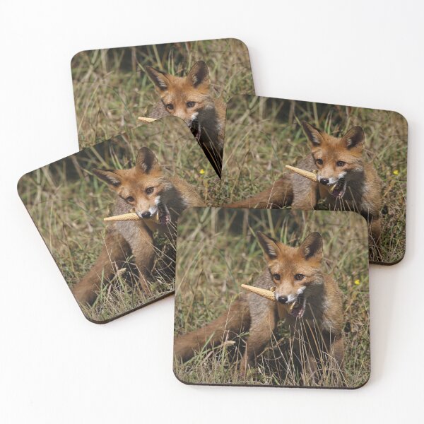 Item preview, The fox & the ice cream. designed and sold by Christian Moss.