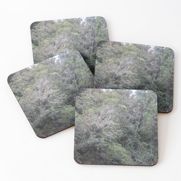 Item preview, tree  designed and sold by Jodie Cooper.