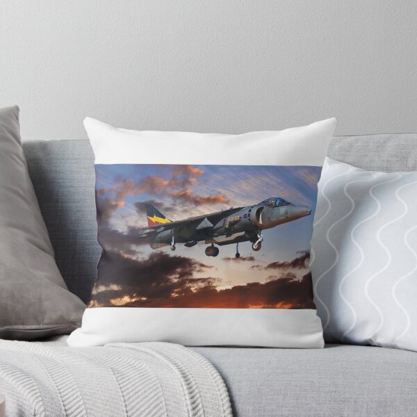Item preview,  RAF Harrier GR9 designed and sold by yeamanphoto.