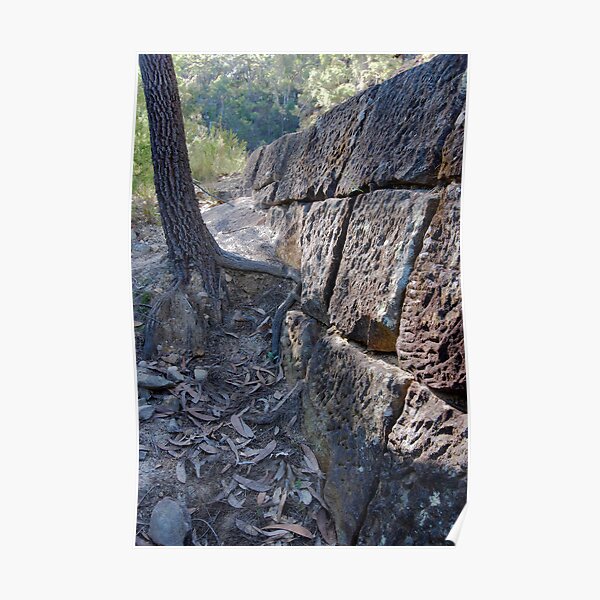Convict Built Old Great North Road - Wiseman's Ferry Poster