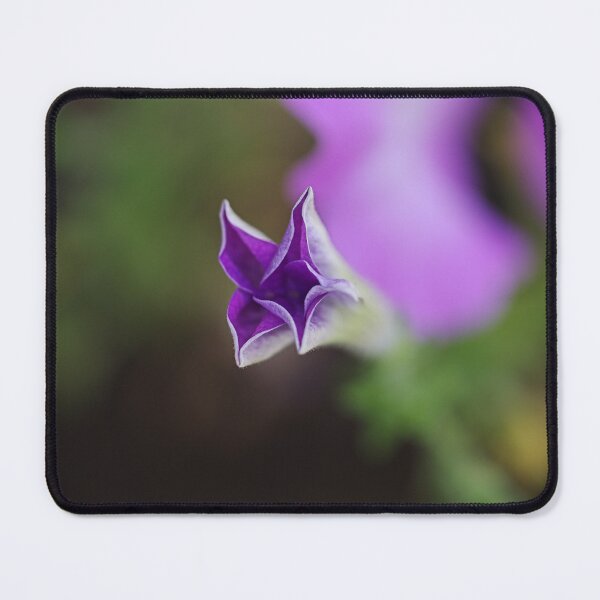 Item preview, Petunia Bud In Purple designed and sold by Joy Watson - Natural Light Photography .
