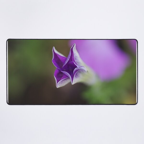 Item preview, Petunia Bud In Purple designed and sold by Joy Watson - Natural Light Photography .