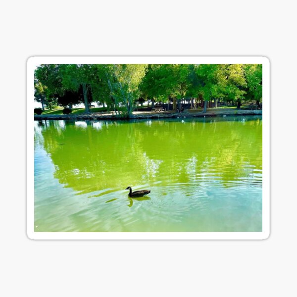 Vista previa del artículo con la obra «Patito feo», diseñado y vendido por piecesofbry.