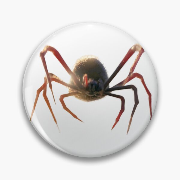 Artikelvorschau, Meeresspinne entworfen und verkauft von Thomas Berard.