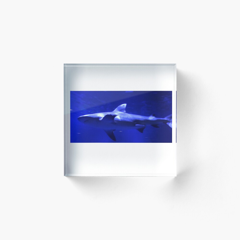 Item preview, Acrylic Block designed and sold by Rixoppida.