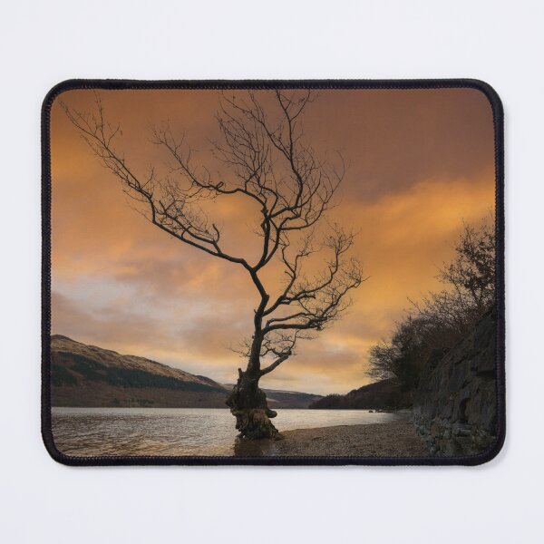 Item preview, Loch Lomond Firkin Point Single Tree Sunrise designed and sold by rawshutterbug.