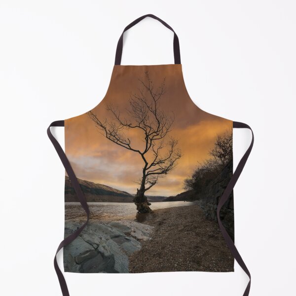 Item preview, Loch Lomond Firkin Point Single Tree Sunrise designed and sold by rawshutterbug.