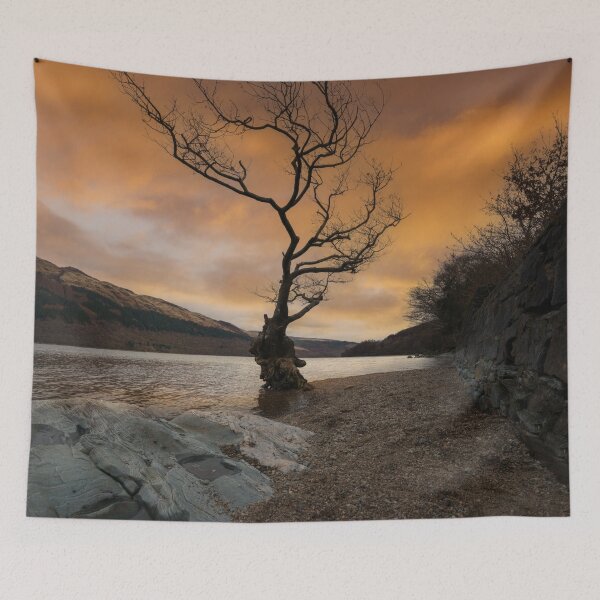 Item preview, Loch Lomond Firkin Point Single Tree Sunrise designed and sold by rawshutterbug.
