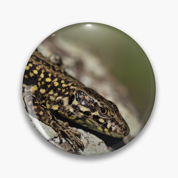 Item preview, Wall Lizard - Dorset designed and sold by Christian Moss.