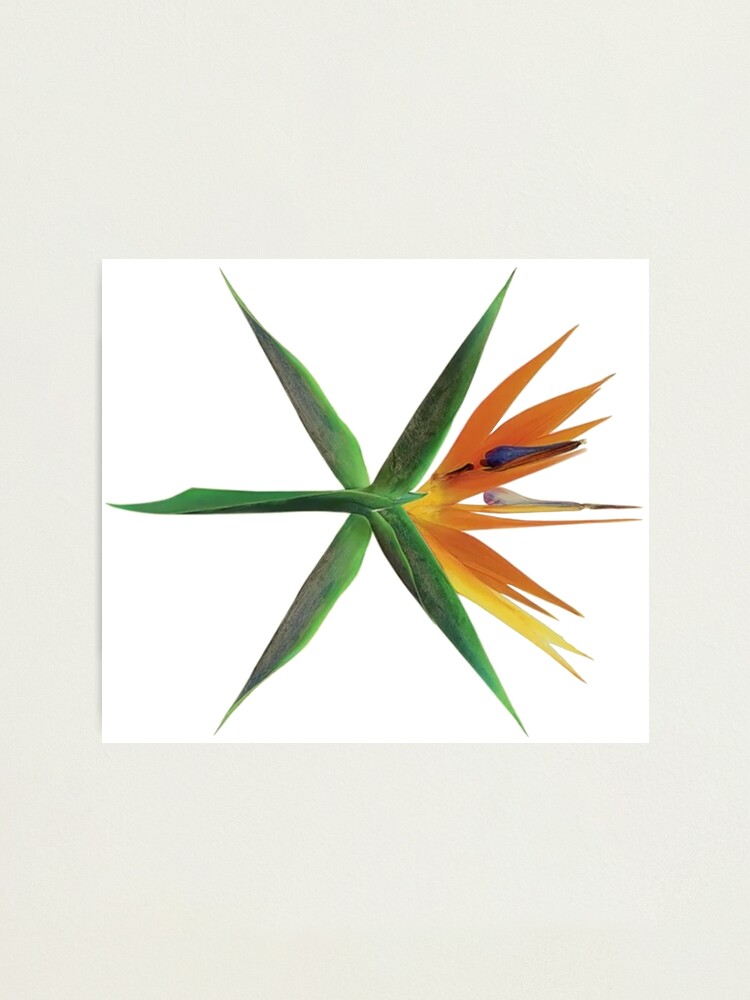 EXO - Koko Bop Logo
