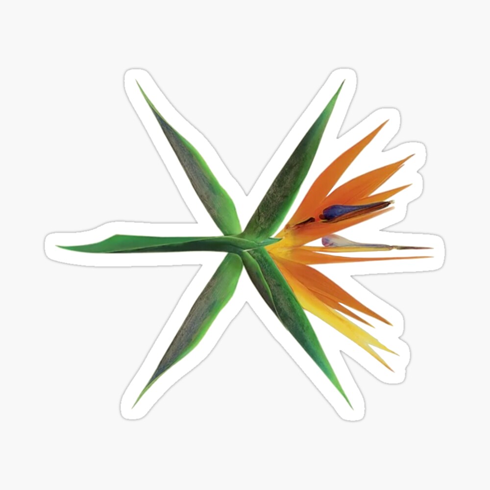 exo koko bop logo photographic print by bballcourt redbubble